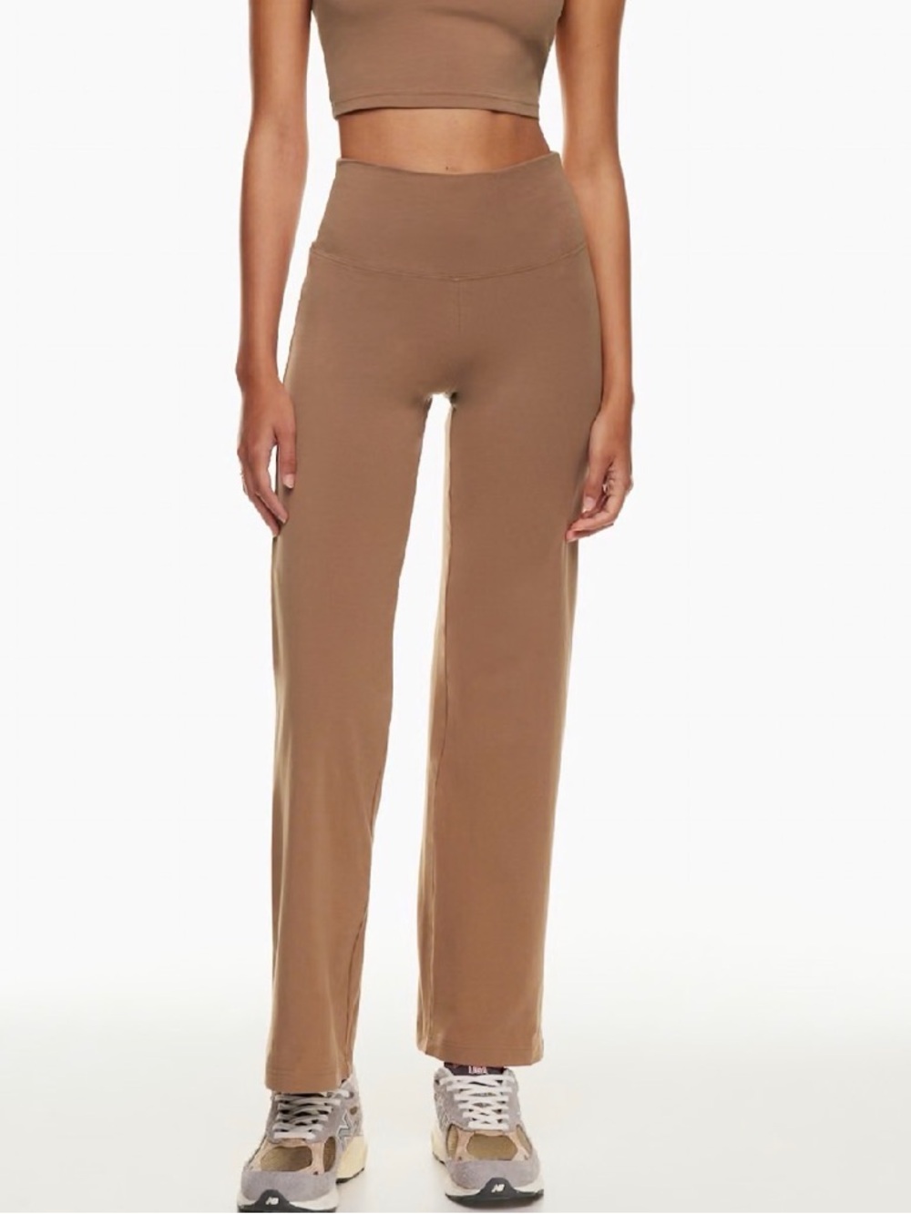 Aritzia Straight-Leg High-Waist Pants - Brown